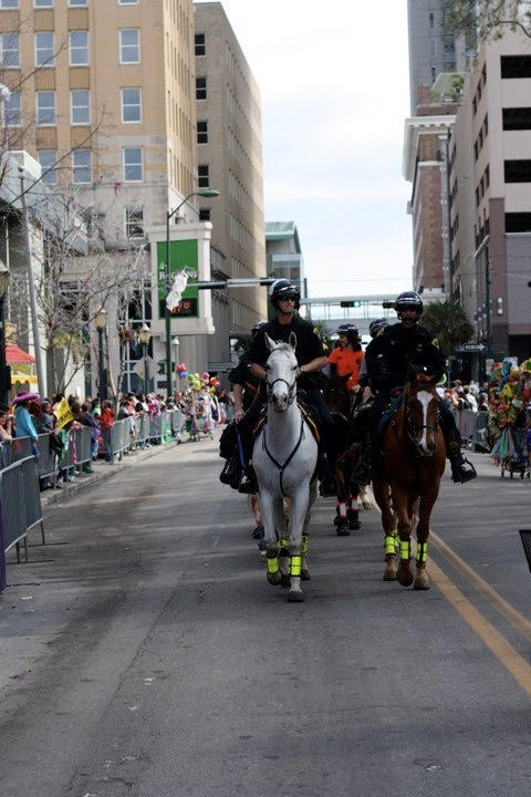 MardiGrashorses
